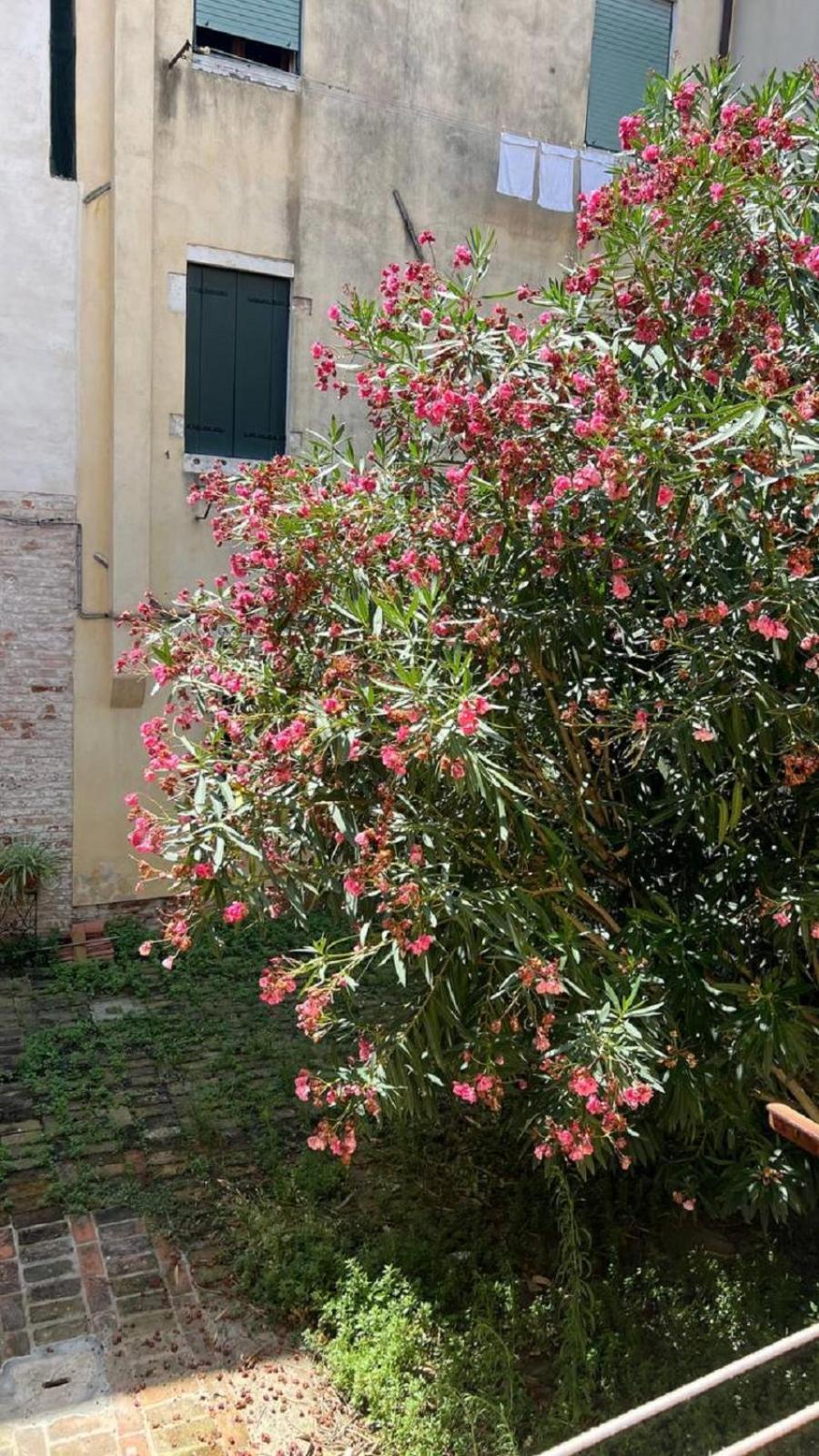 Ania Apartment Venesia Bagian luar foto
